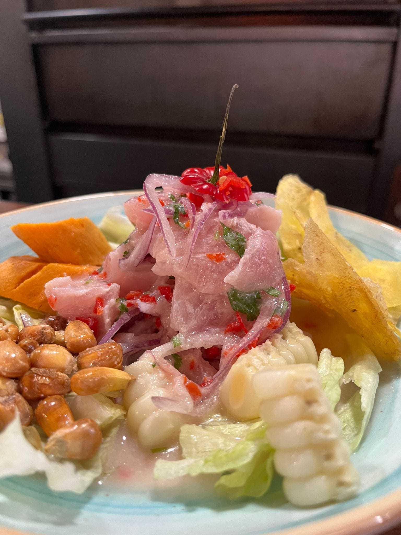 Ceviche-El-Fogon-1